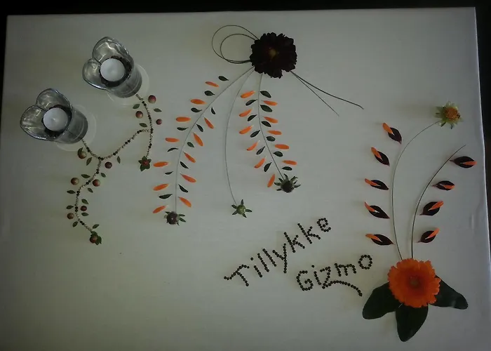 Faergegaarden Fåborg